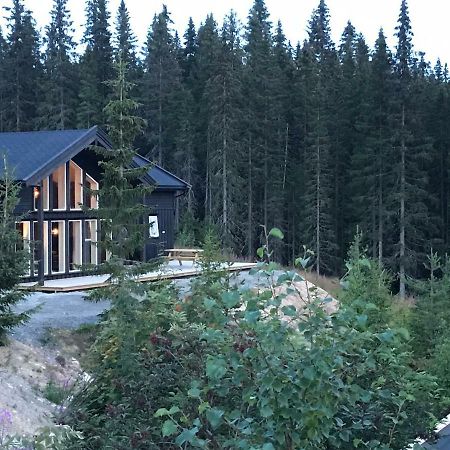 Lillebjorn Villa Trysil Ngoại thất bức ảnh