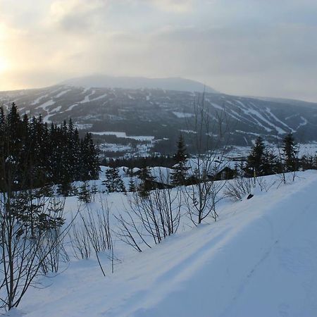 Lillebjorn Villa Trysil Ngoại thất bức ảnh