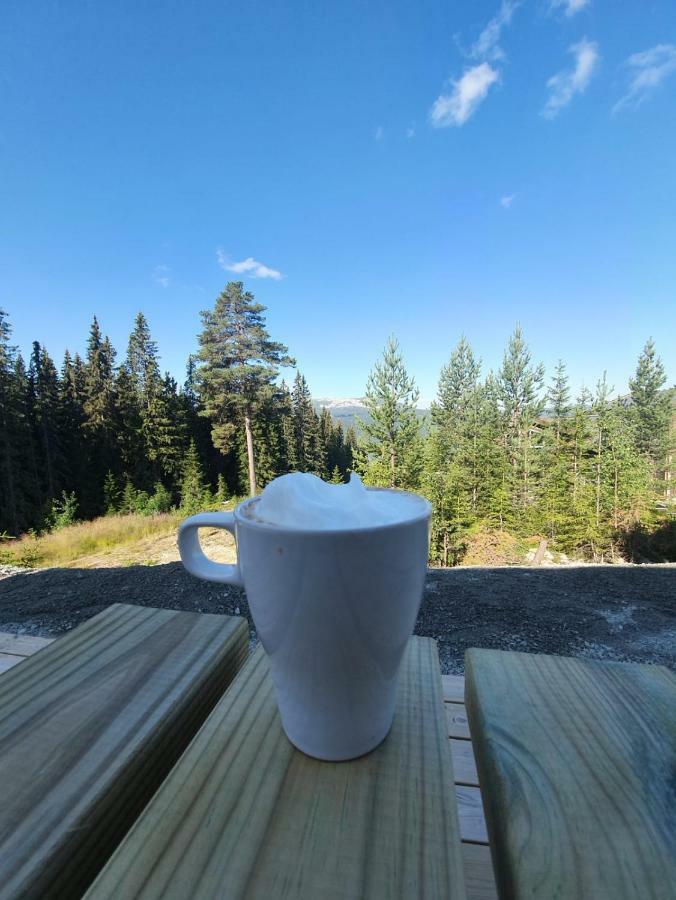 Lillebjorn Villa Trysil Ngoại thất bức ảnh