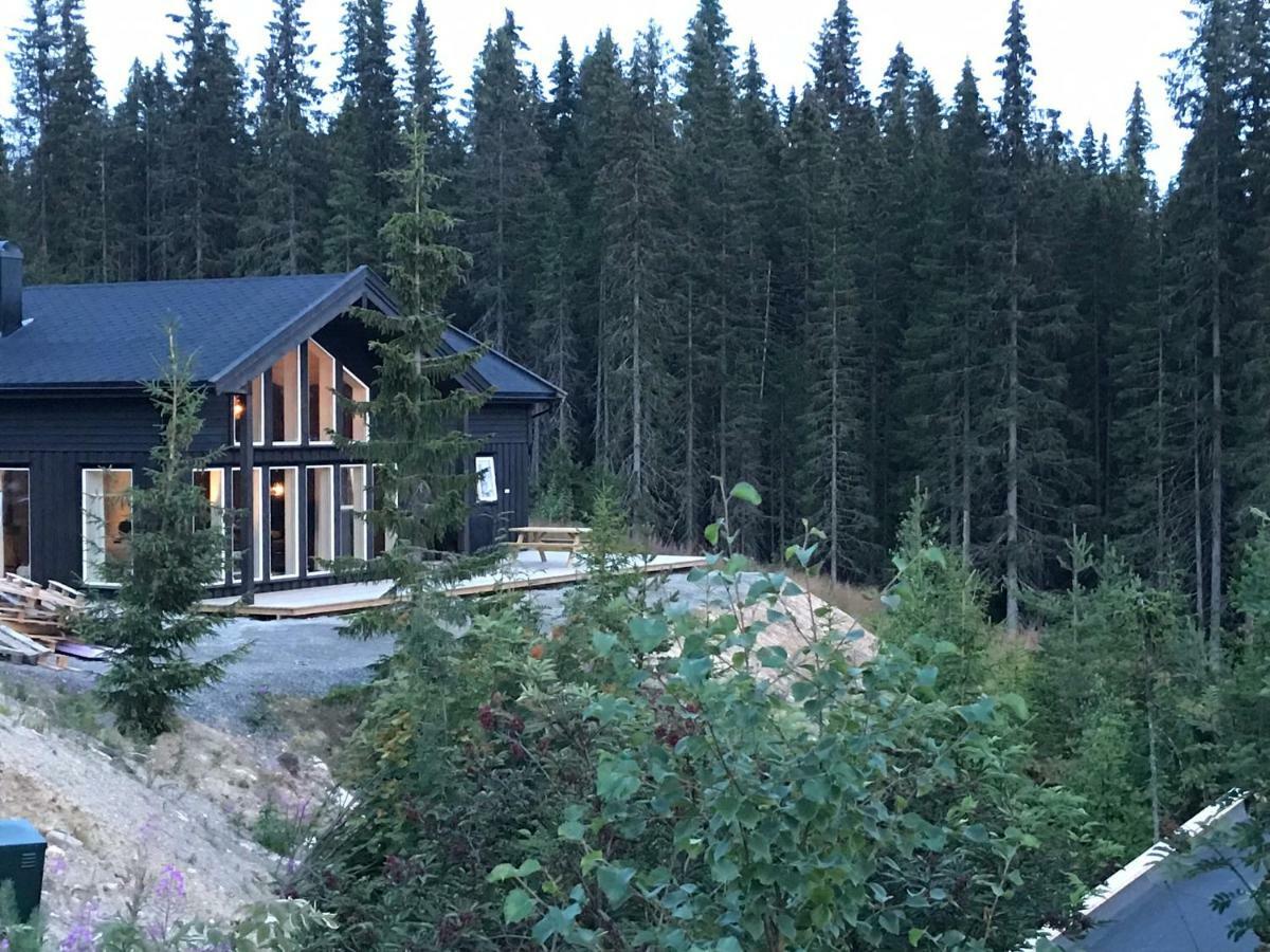 Lillebjorn Villa Trysil Ngoại thất bức ảnh