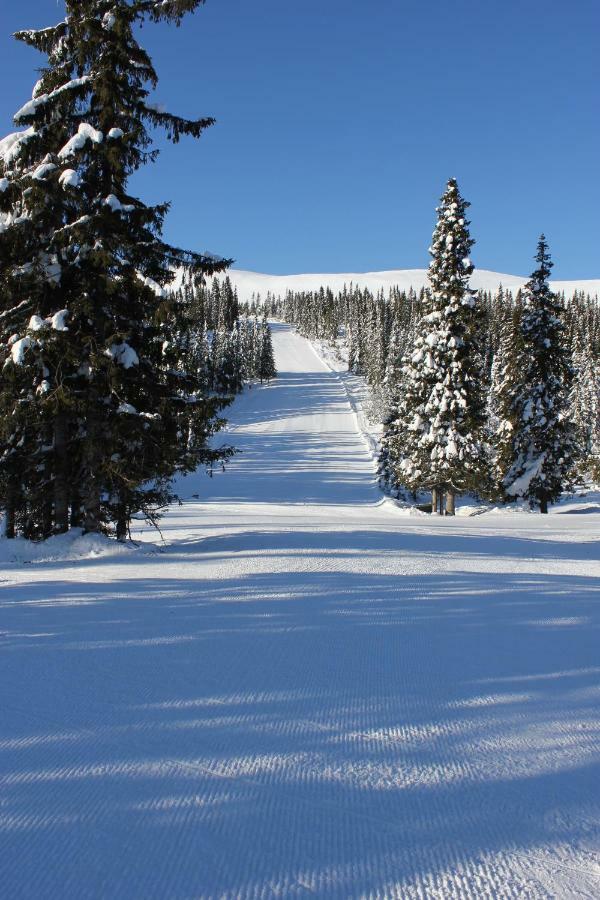 Lillebjorn Villa Trysil Ngoại thất bức ảnh