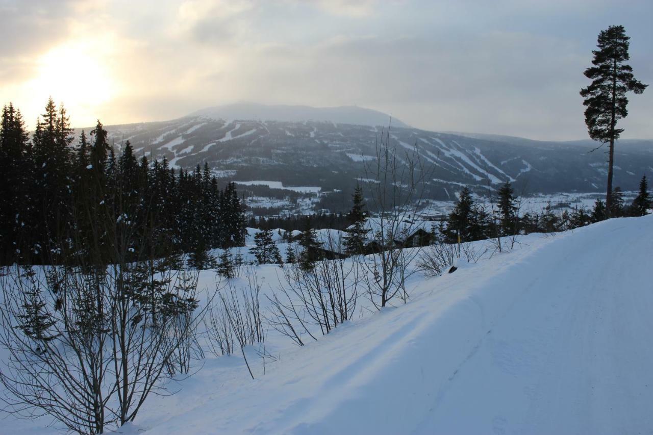 Lillebjorn Villa Trysil Ngoại thất bức ảnh