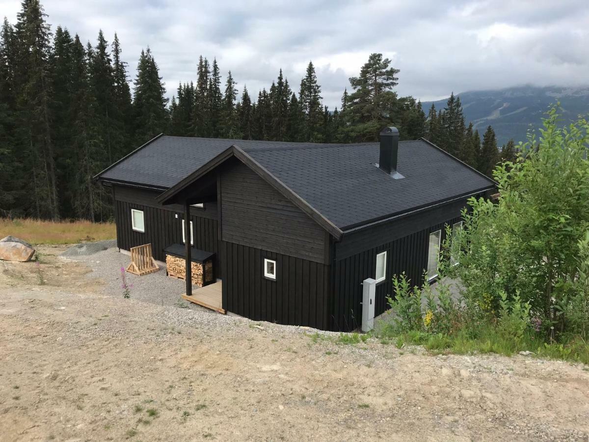 Lillebjorn Villa Trysil Ngoại thất bức ảnh